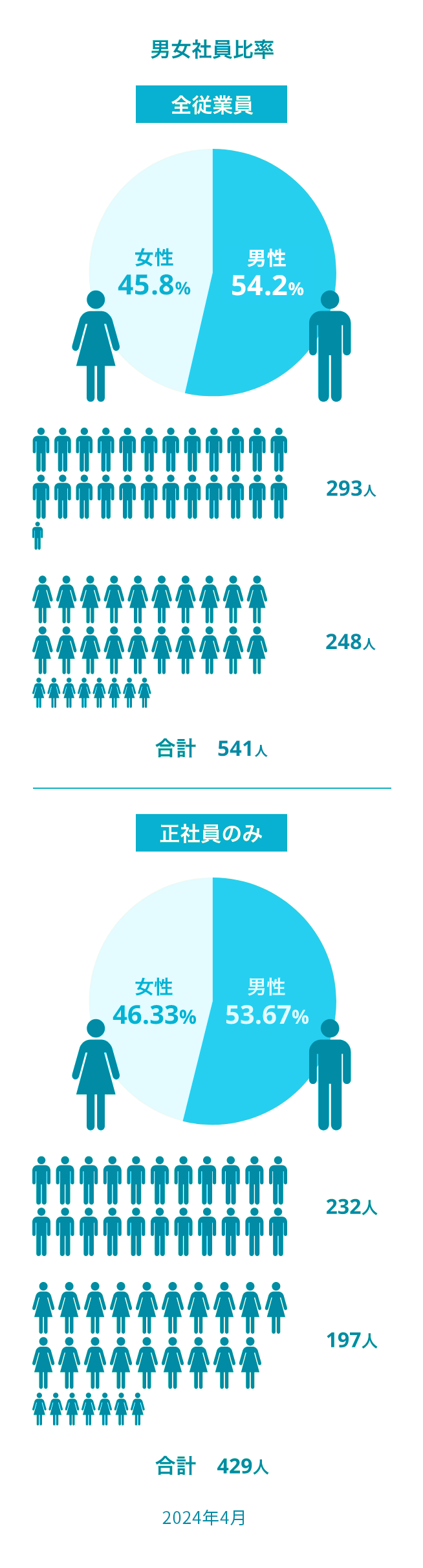 男女社員比率